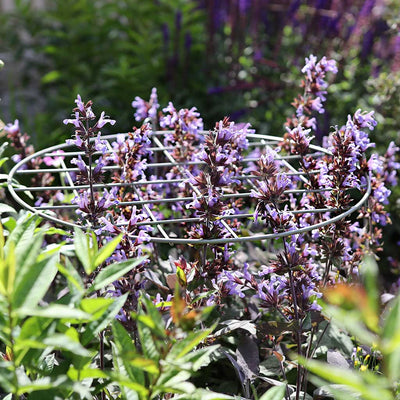 Plant Supports | Beautiful & Handcrafted | Agriframes