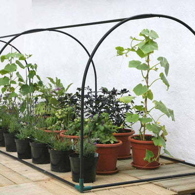 grower frame 
