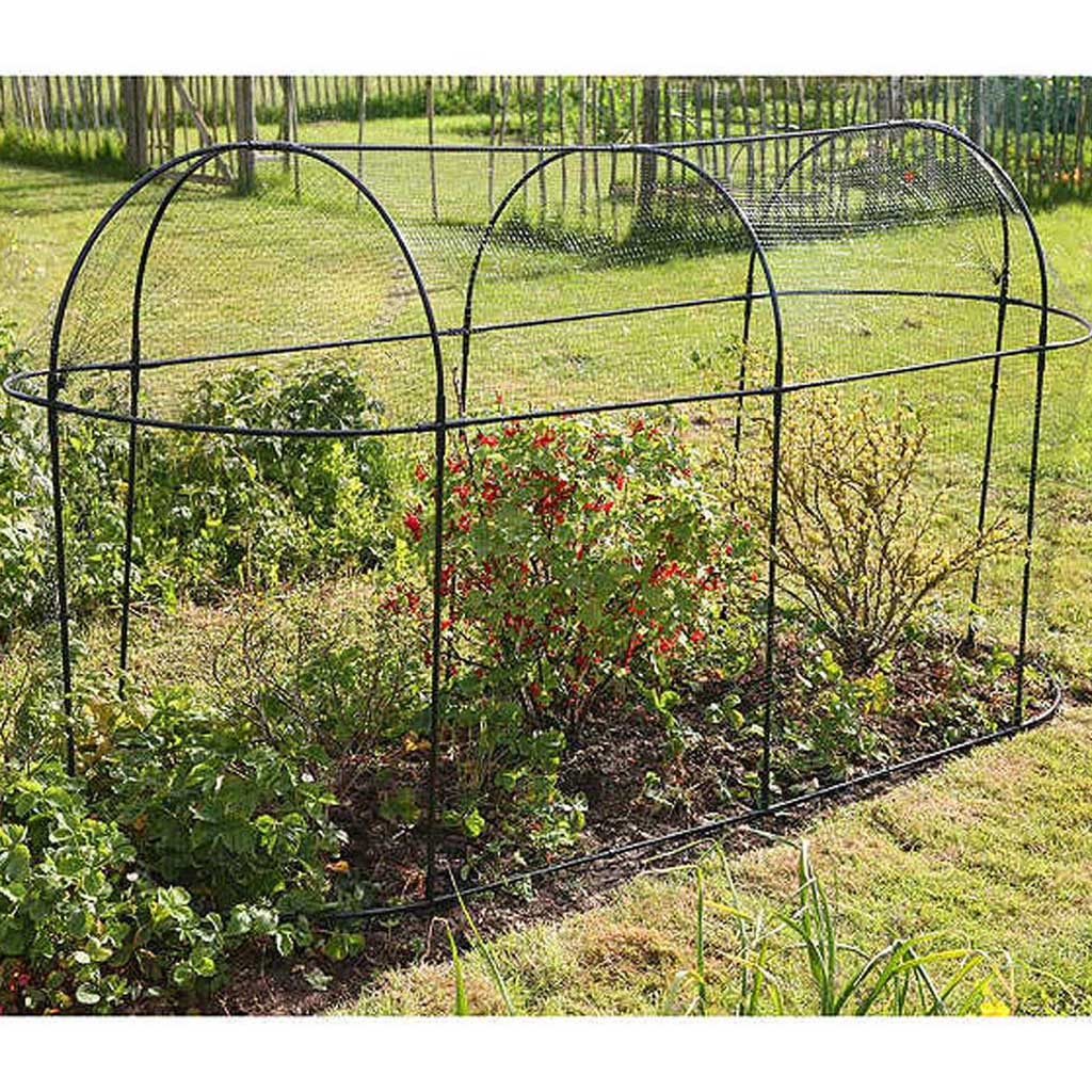 steel fruit cage