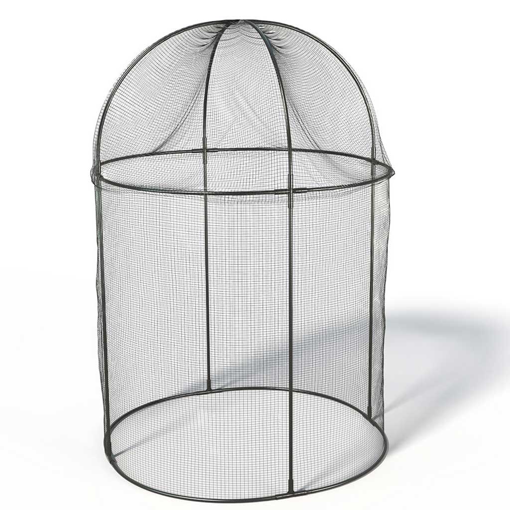 Steel Round Fruit Cage on a white background