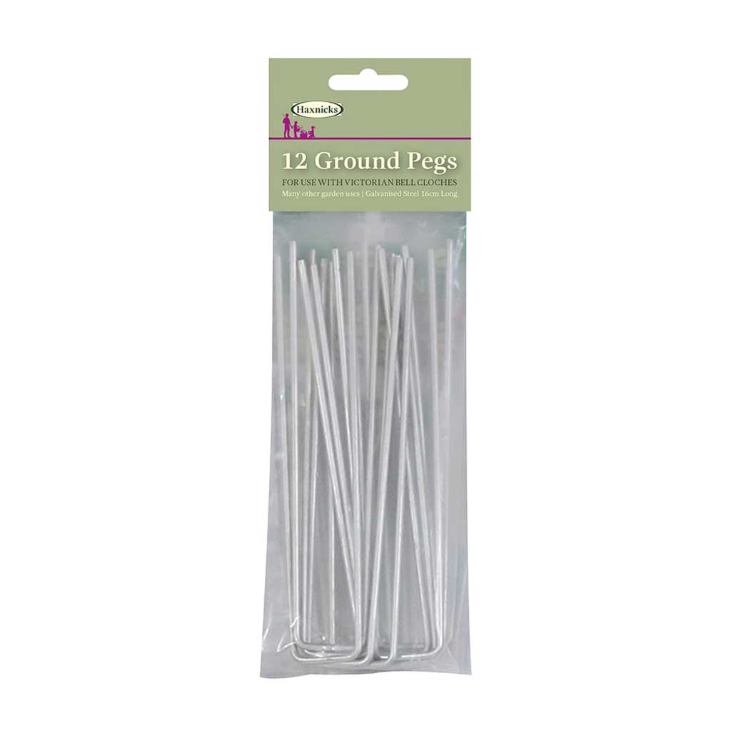 Ground Pegs (12 in pack)