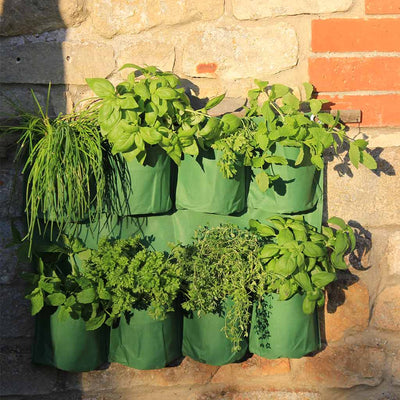 herb Wall planter in use 