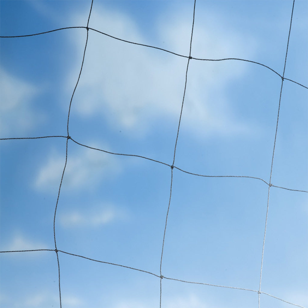 heron / pond netting and sky 