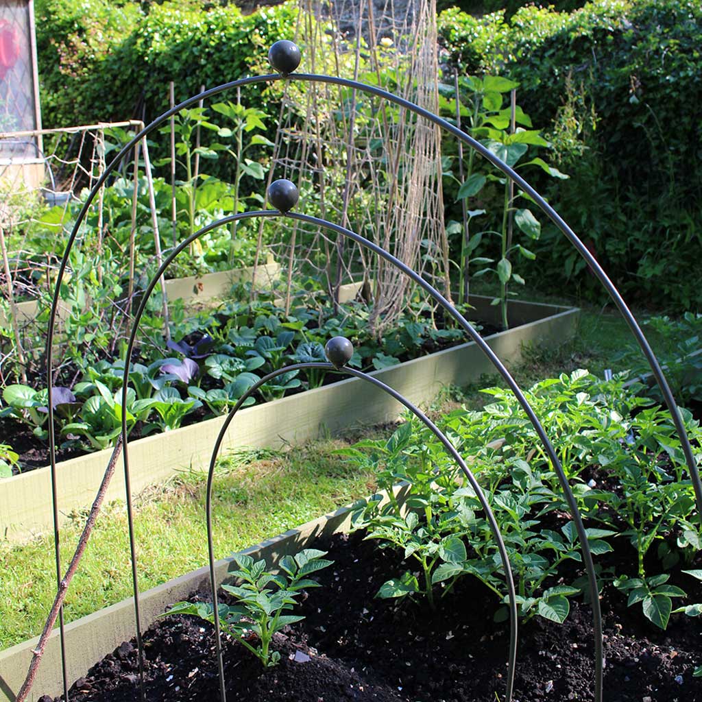 Agriframes Elegance Hooped Cloche in Sage Green three sizes in garden 