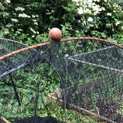 Agriframes Elegance Hooped Cloche in rustic colour with net in garden 