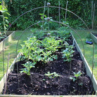 Agriframes Elegance Hooped Cloche in Sage green, three sizes in garden.