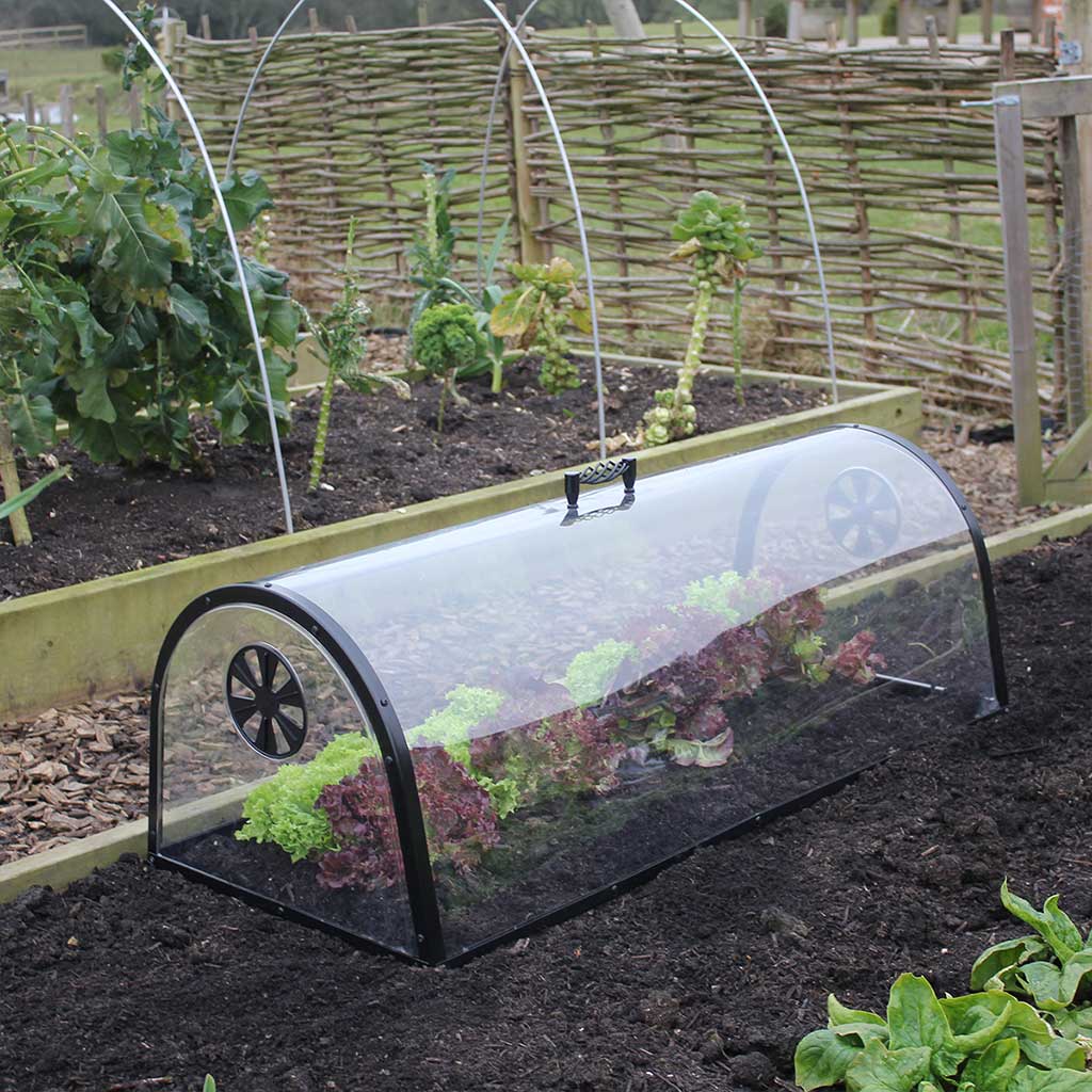 Kitchen Garden Cloche