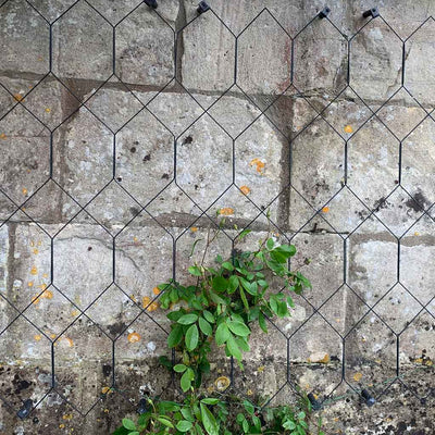 Lattice Wall Trellis - Gloss Black
