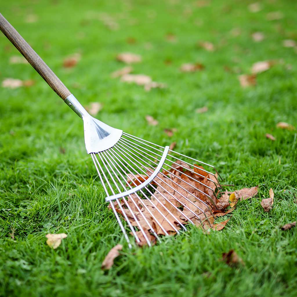 leaf rake