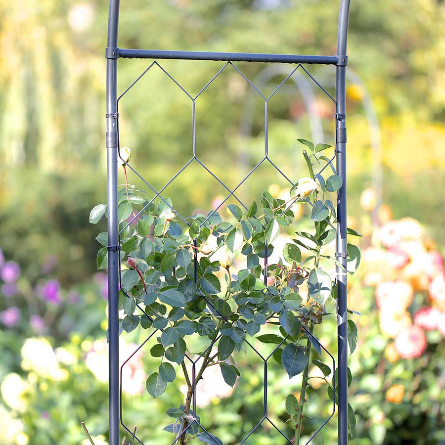 Round Garden Arch | Garden Arches | Agriframes