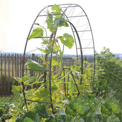 London eye plant frame in matt black