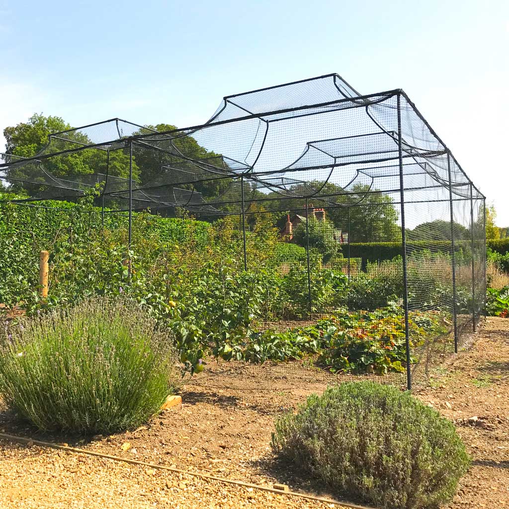 Agriframes Monet Roof Fruit Cage with various fruit bushes inside