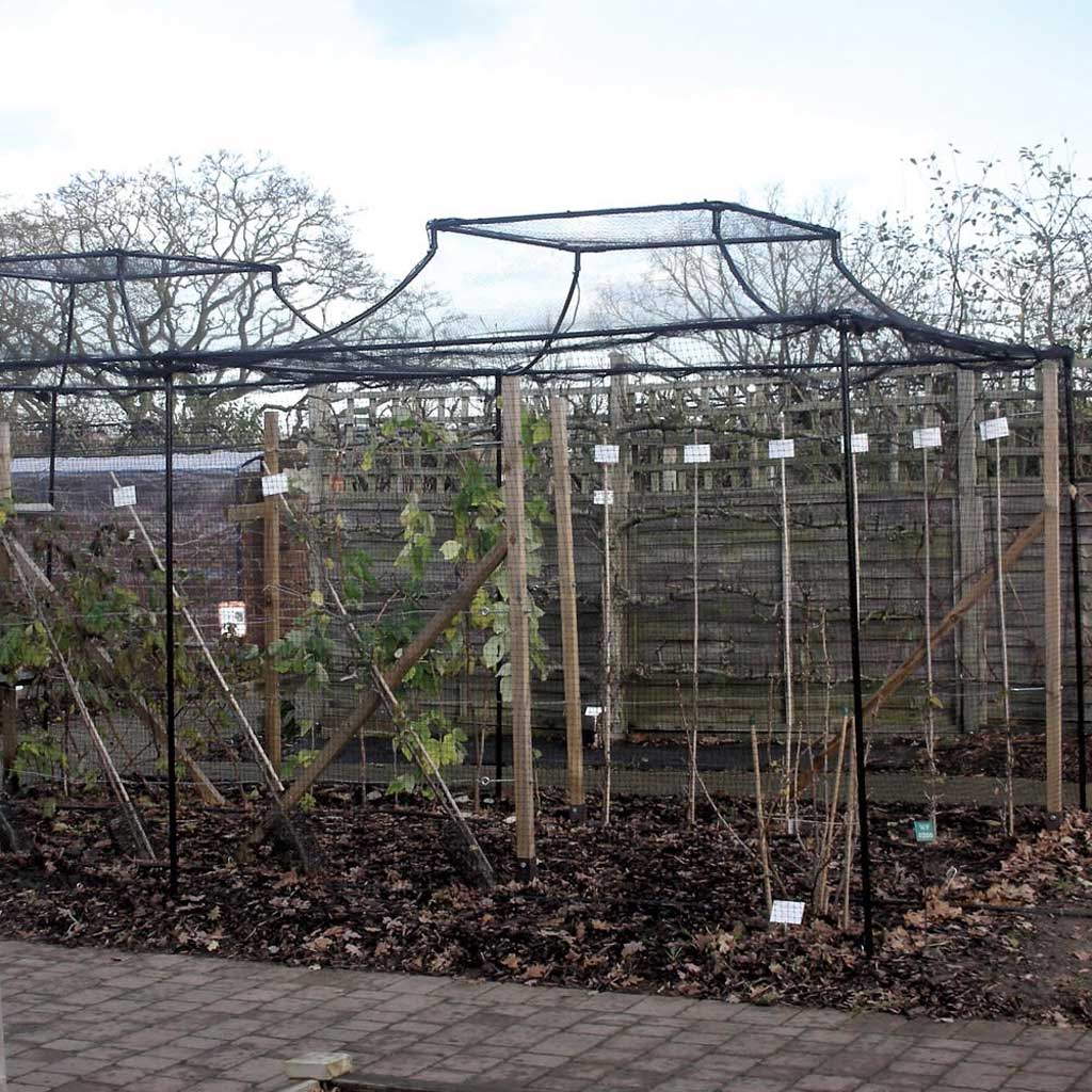 Monet_roof_fruit_cage-winter- agriframes