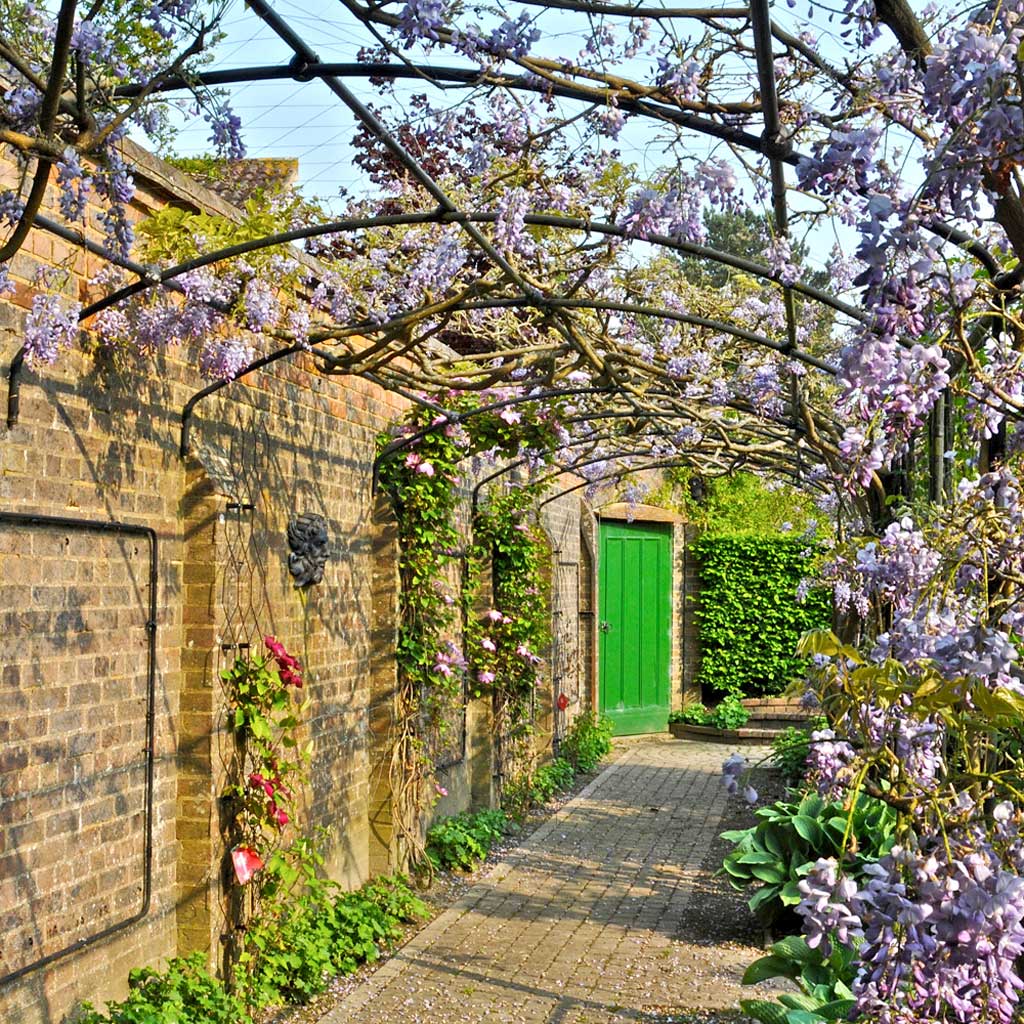 monet_wall_pergola_from_inside_blossom- agriframes