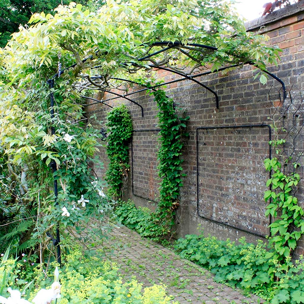 monet_wall_pergola_wide- agriframes