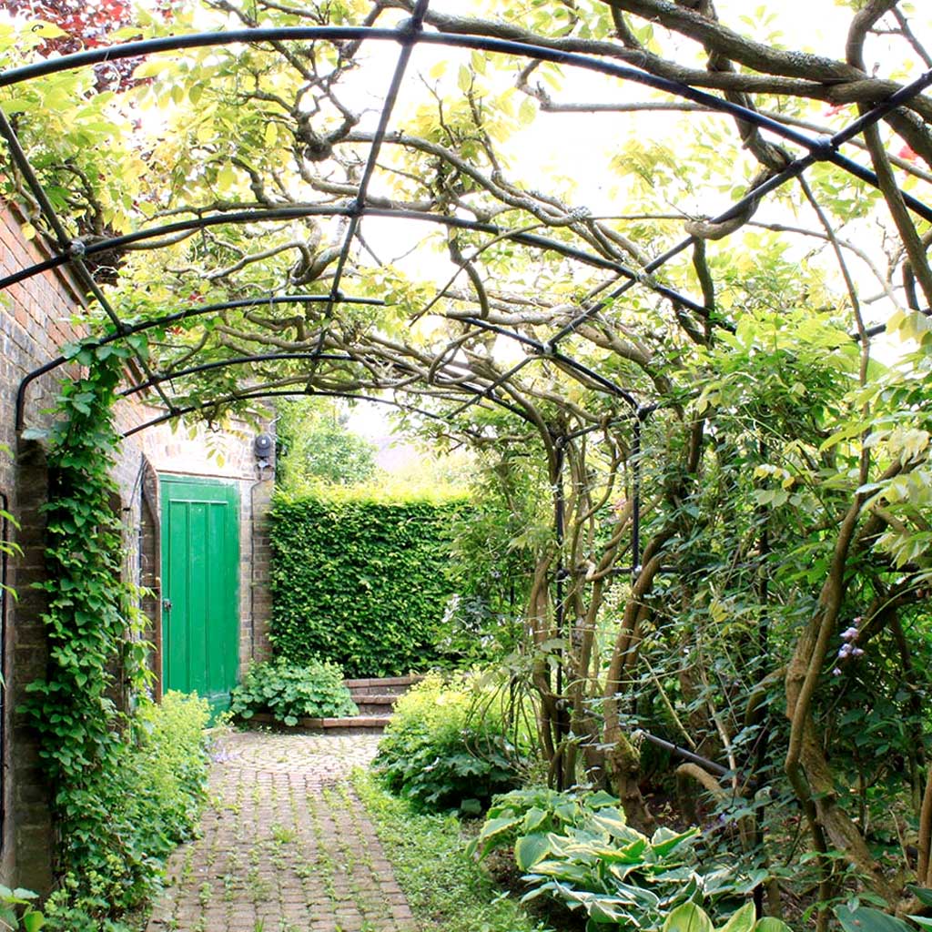 monet_wall_pergola_from_inside-AGriframes