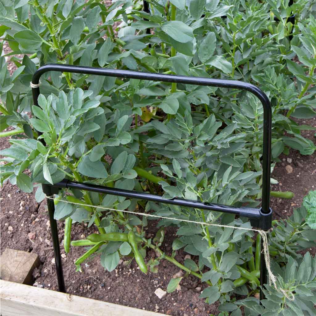 Multi Purpose Grow Through Frame | Plant Frames | Agriframes