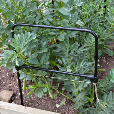 multi purpose grow through frame close up 