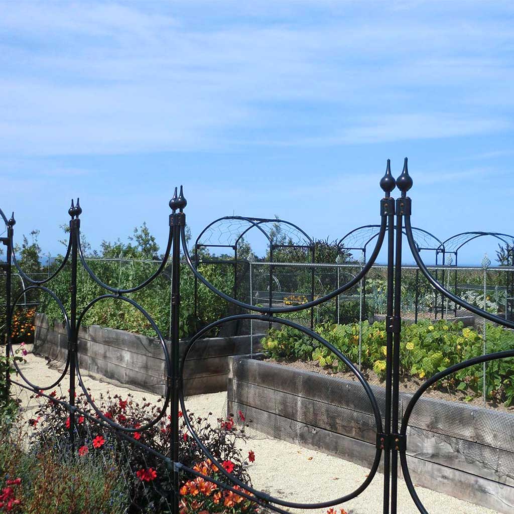 Oval Screen- agriframes- veg garden 