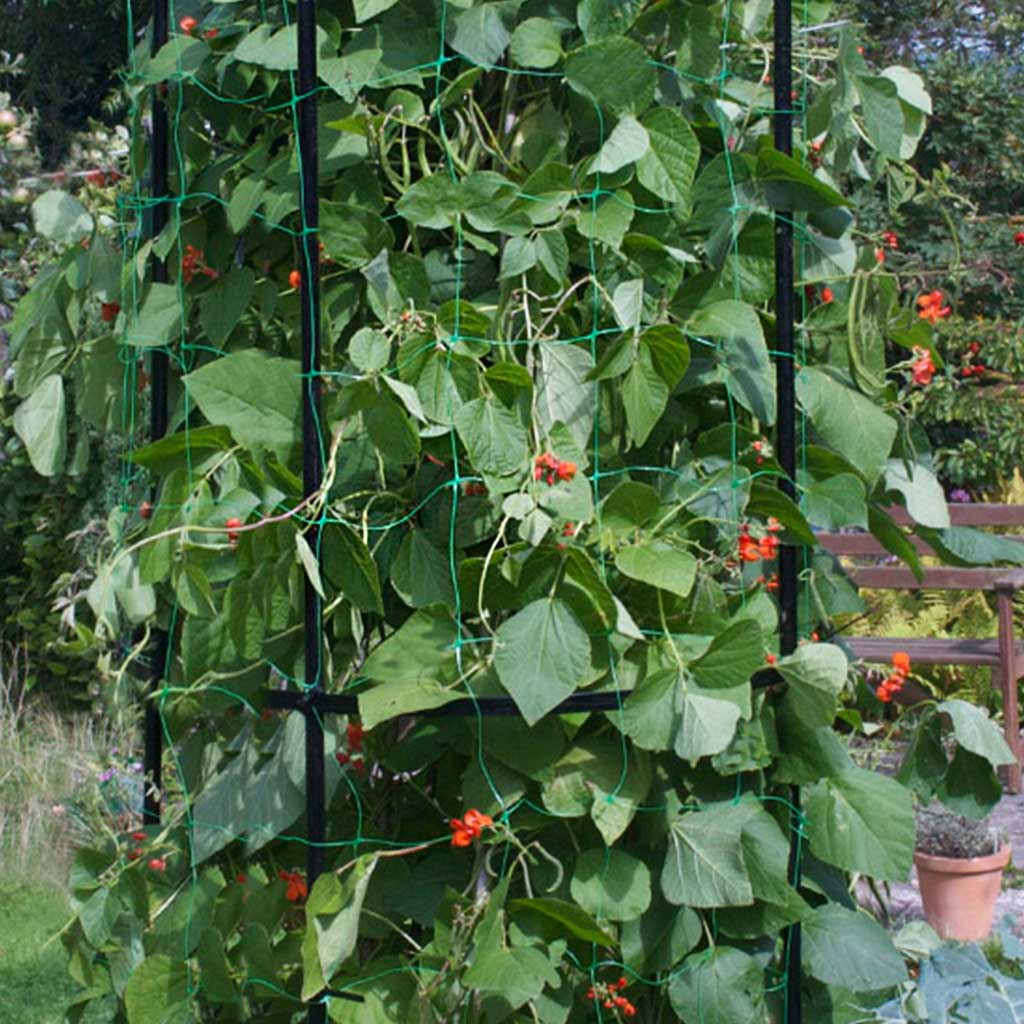 Pea and Bean Netting