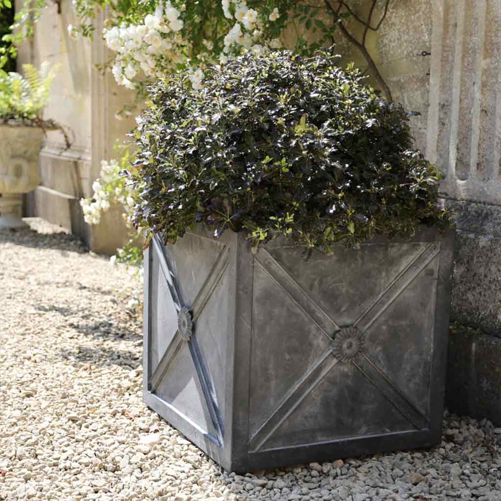 Regency Zinc Planter-in use - agriframes