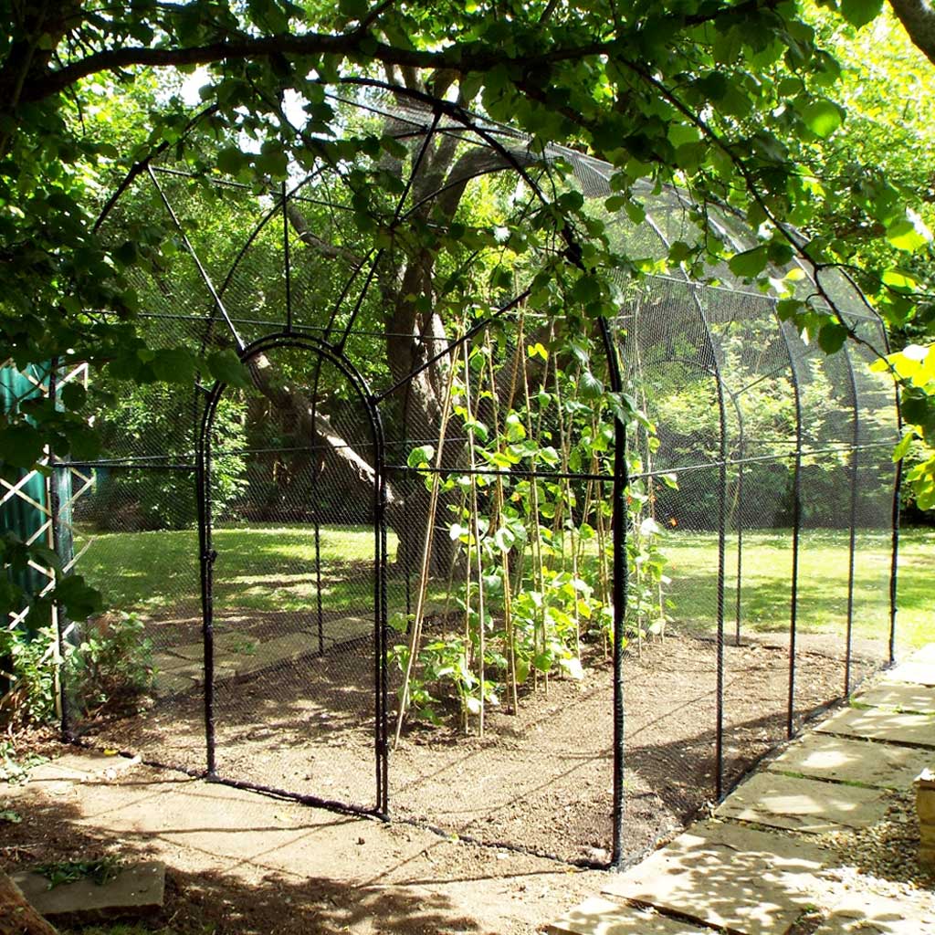 roman_fruit_cage_wide_in shade- agriframes