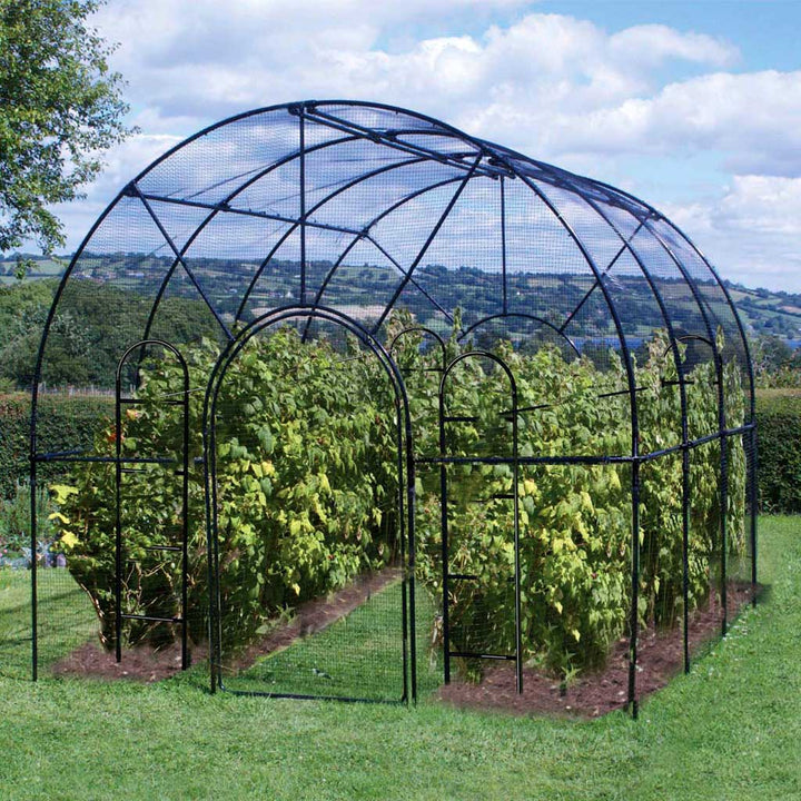 roman_fruit_cage_wide_landscape-agriframes