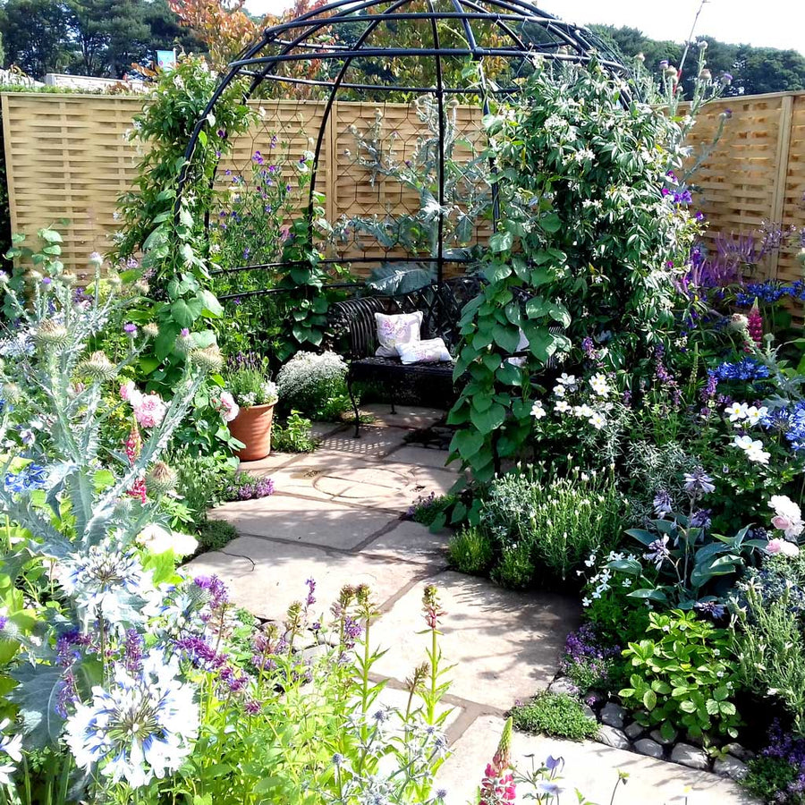 Round Plant Supports | Metal Plant Supports | Agriframes