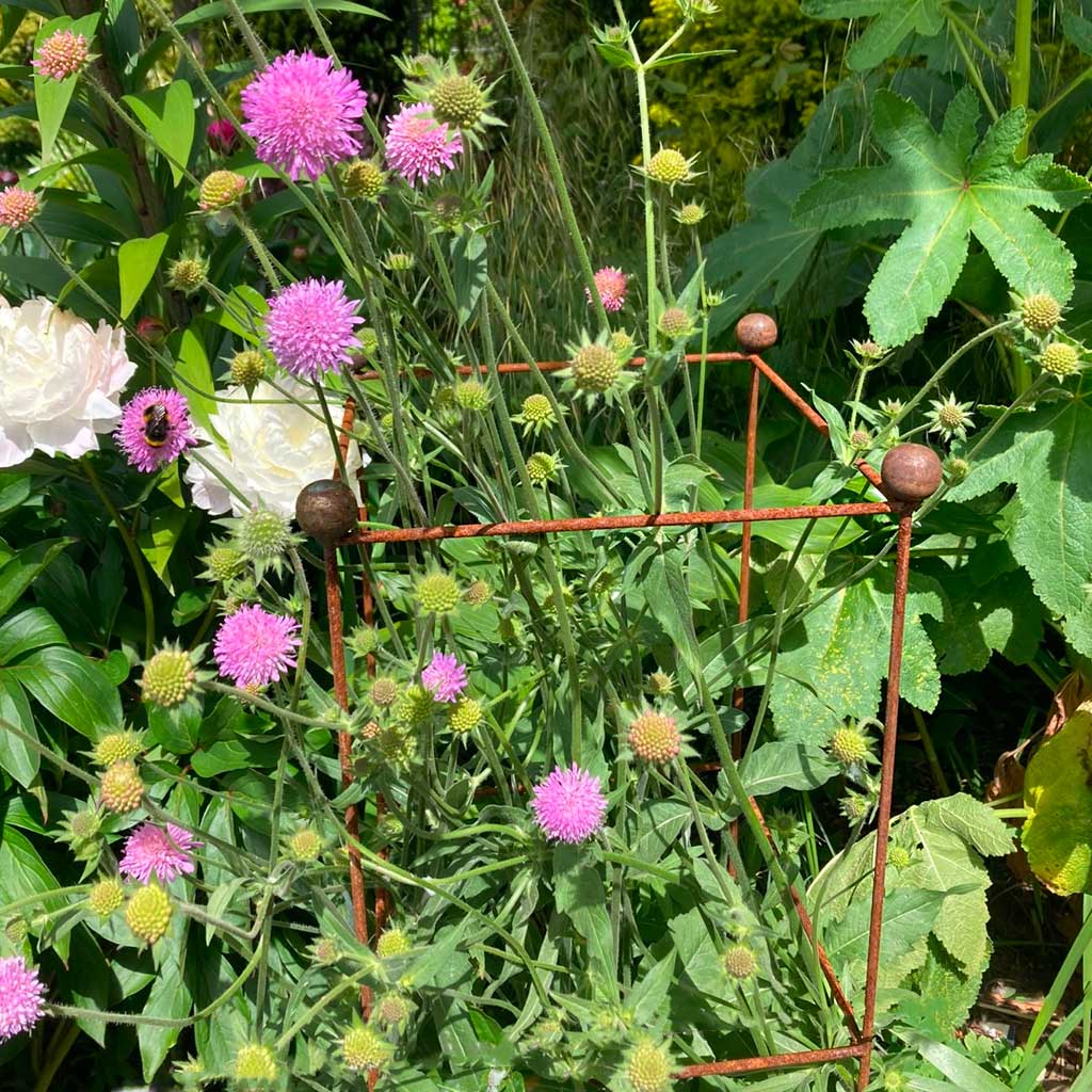 Tower Plant Support - Rustic