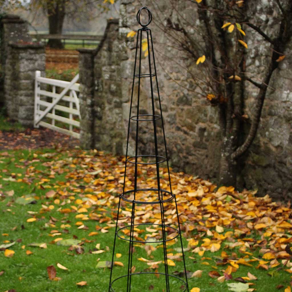 agriframes Salisbury Obelisk- in use autumn