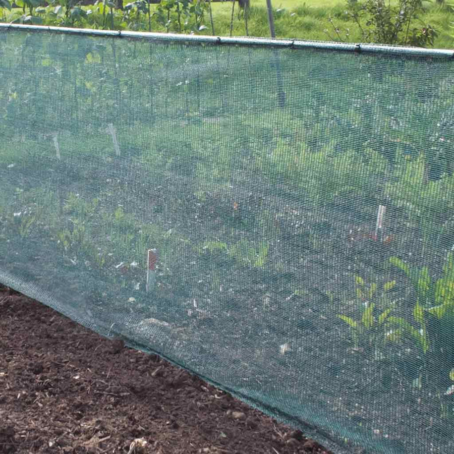 Garden Netting | Agriframes