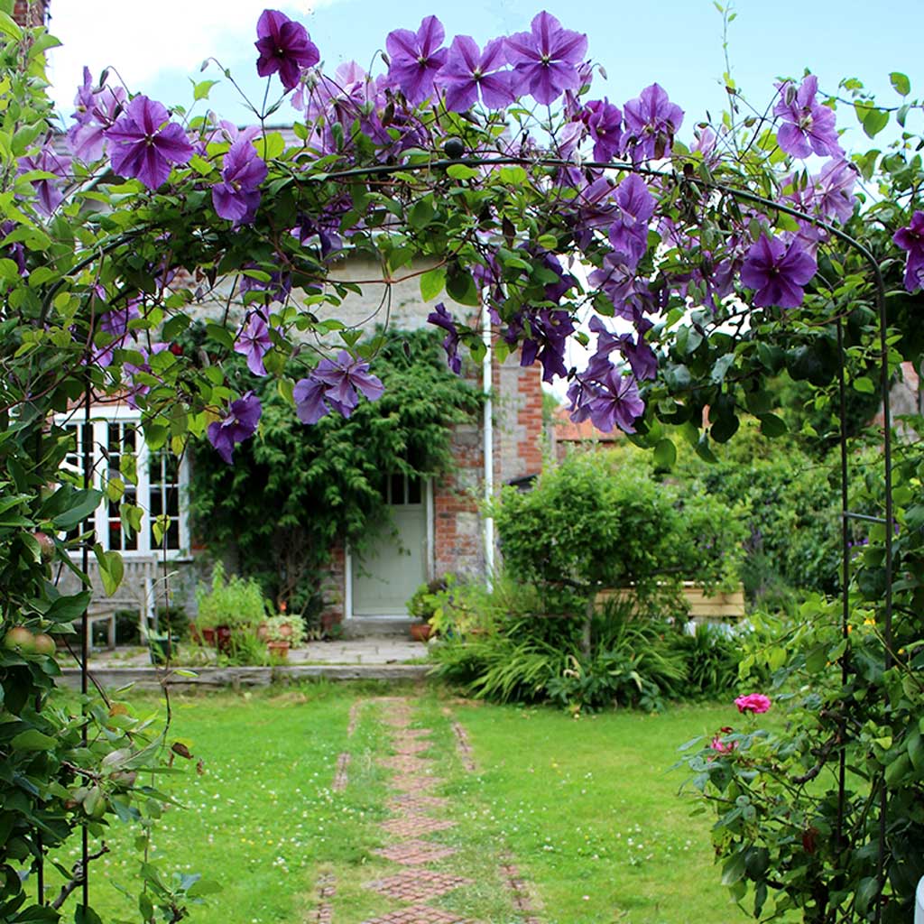 Elegance Fine Arch- straight on flowers - agriframes