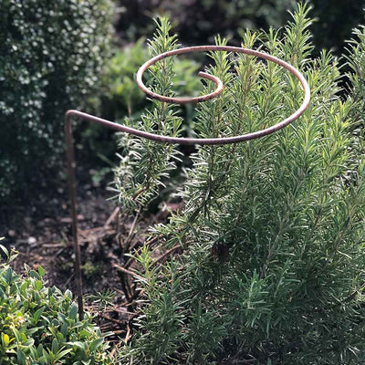 rustic spiral plant support