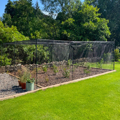 Superior Fruit Cage - Traditional Matt Black