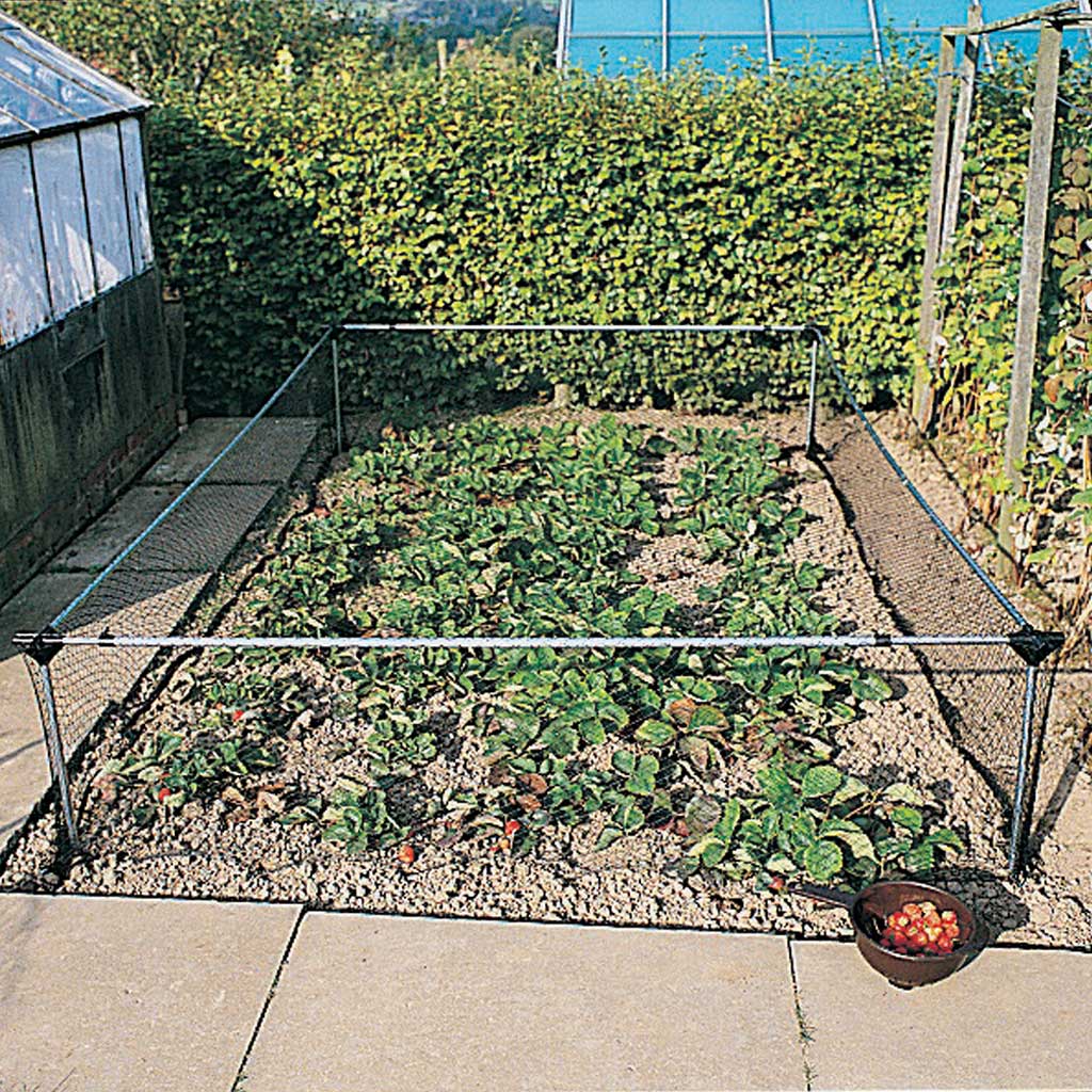 Strawberry and Vegetable Cage installed over a patch with strawberry plants growing on it