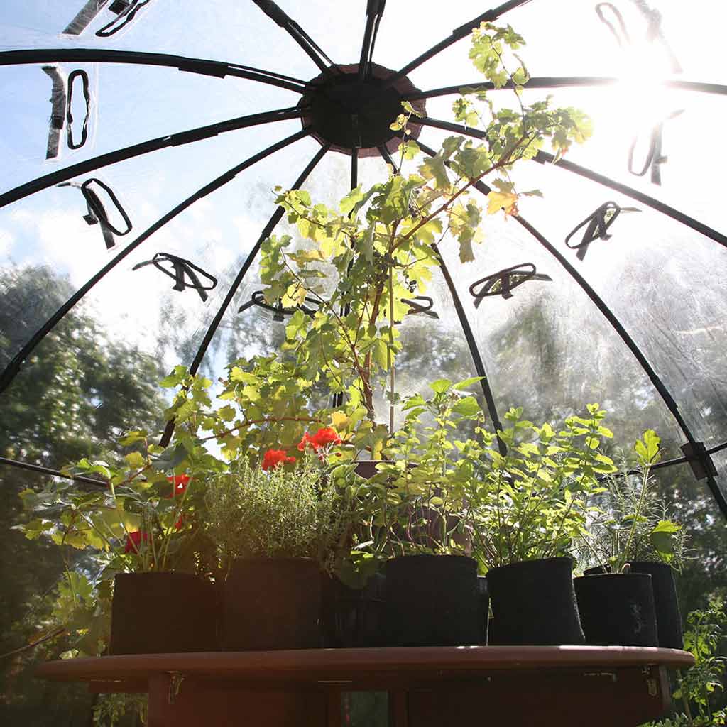 sunbubble interior shot 