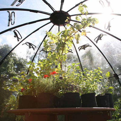 sunbubble interior shot 