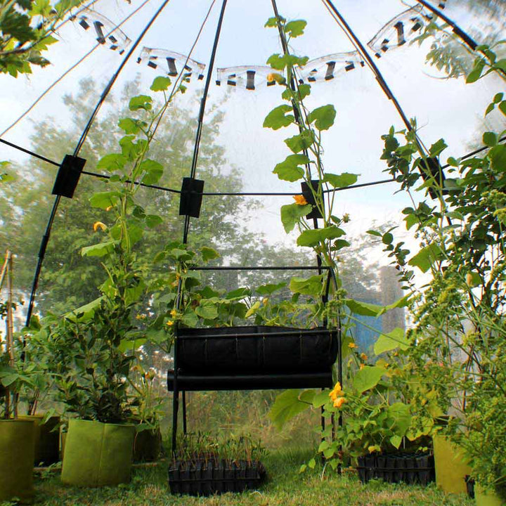 sunbubble interior large 