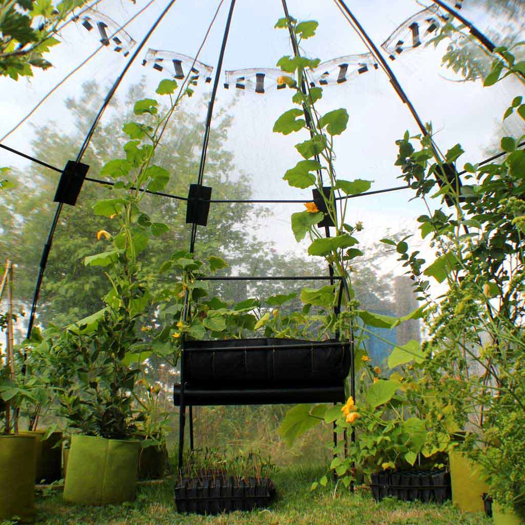 sunbubble interior large 
