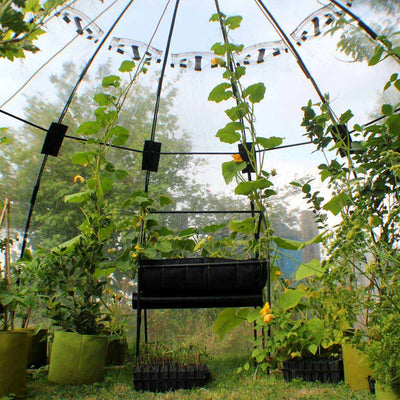 sunbubble interior large 