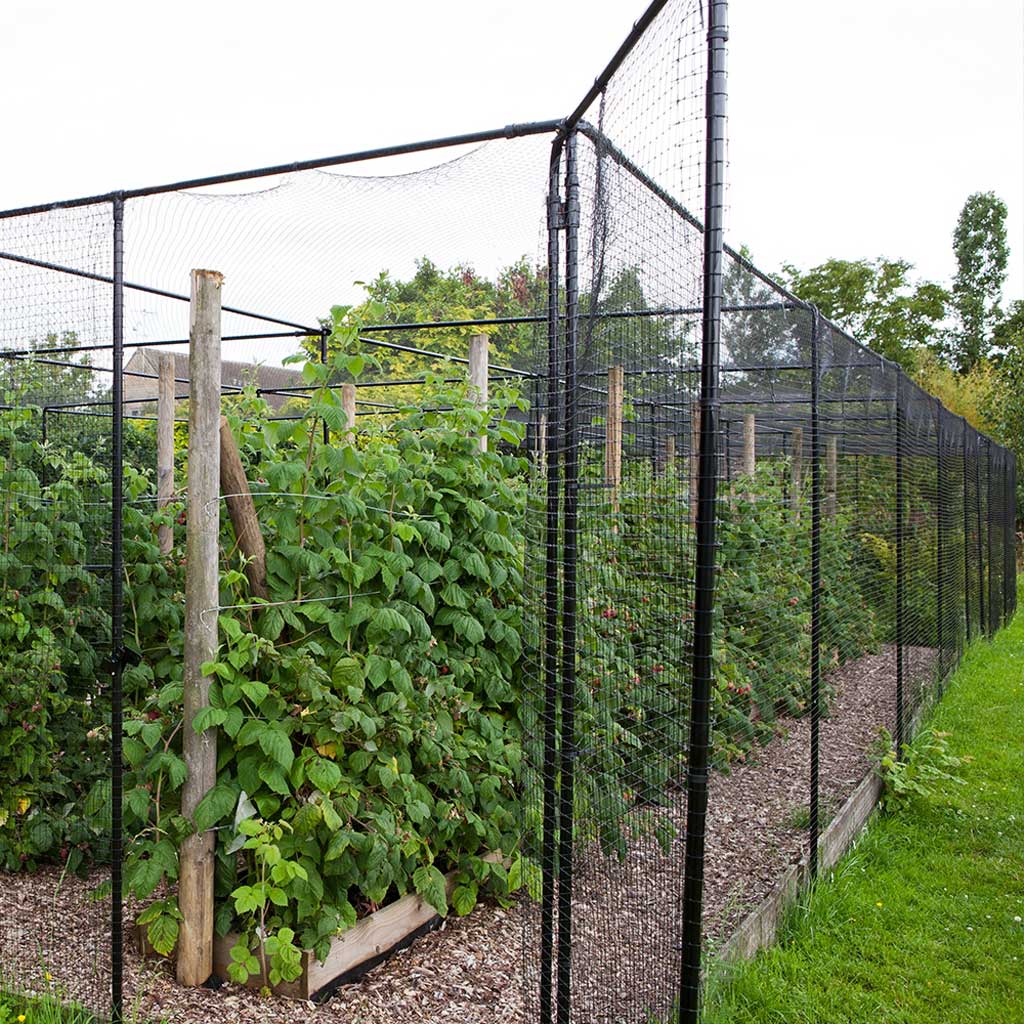 Superior Fruit Cage-door agriframes