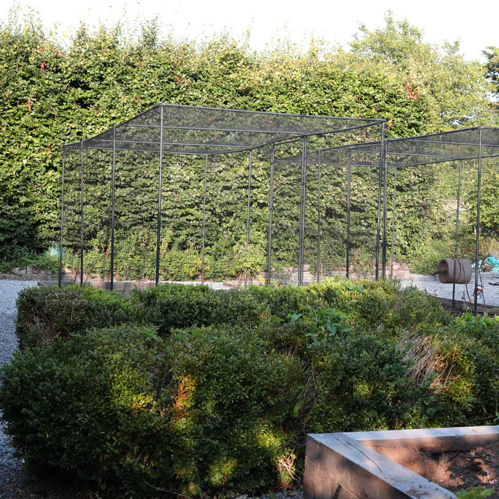 Wide shot of the Agriframes Superior Fruit Cage with nothing inside