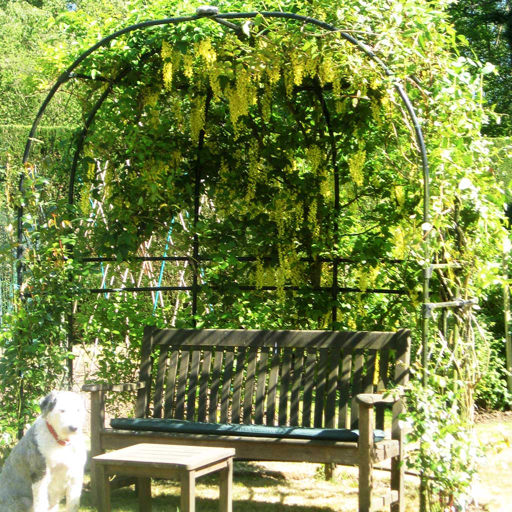 sussex_bower_covered agriframes