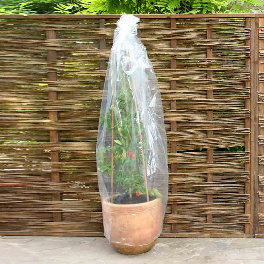 Tomato tube in use on potted tomato plant 