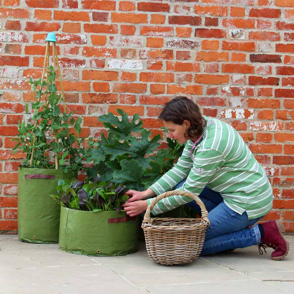 vegetable patio planter in use 