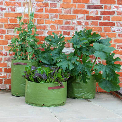 vegetable patio planter 