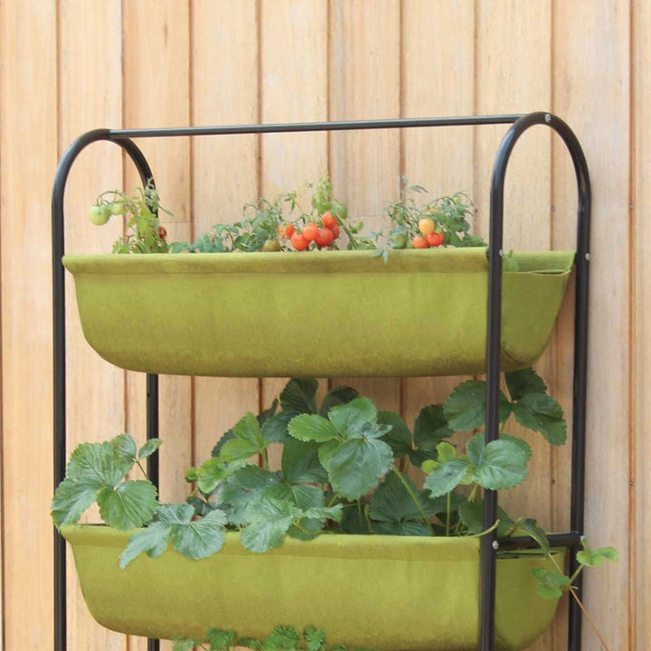 vigoroot balcony garden close 