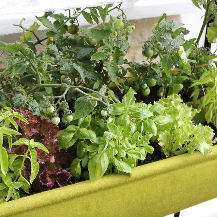 Vigoroot easy table garden  example 