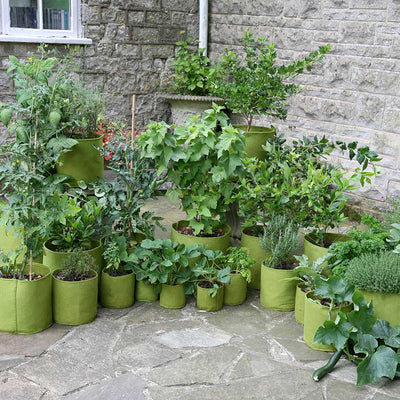 vigoroot-pots-and-planters-group-agriframes